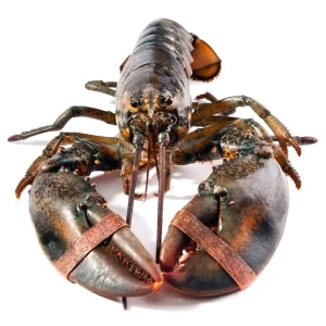 import placeholder for 2755
