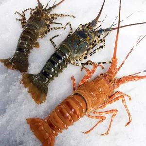 Crustaceans