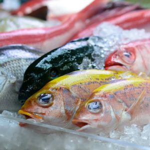 FROZEN FISH