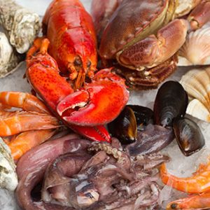 SHELLFISH